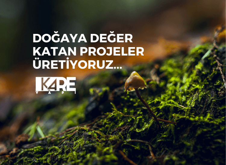 LİVADİ SERİNYAYLA